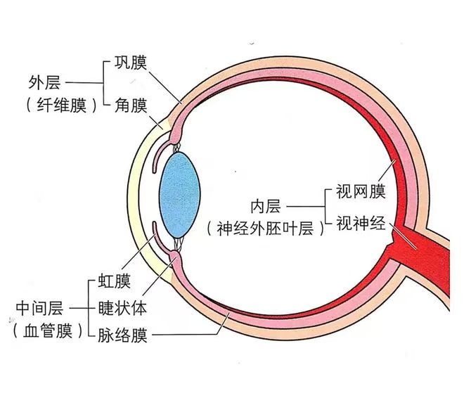 微信圖片_20250414163844.jpg